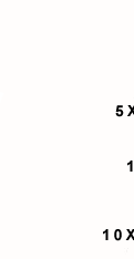 SELF STORAGE UNIT SIZE CHART